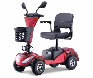 S1000 Scooter Engelli ve Yaşlı Aracı