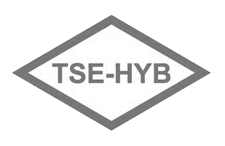 TSE HYB